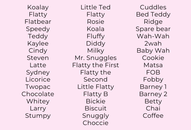 Best Teddy Bear Names FLATOUTbear FLATOUTbear