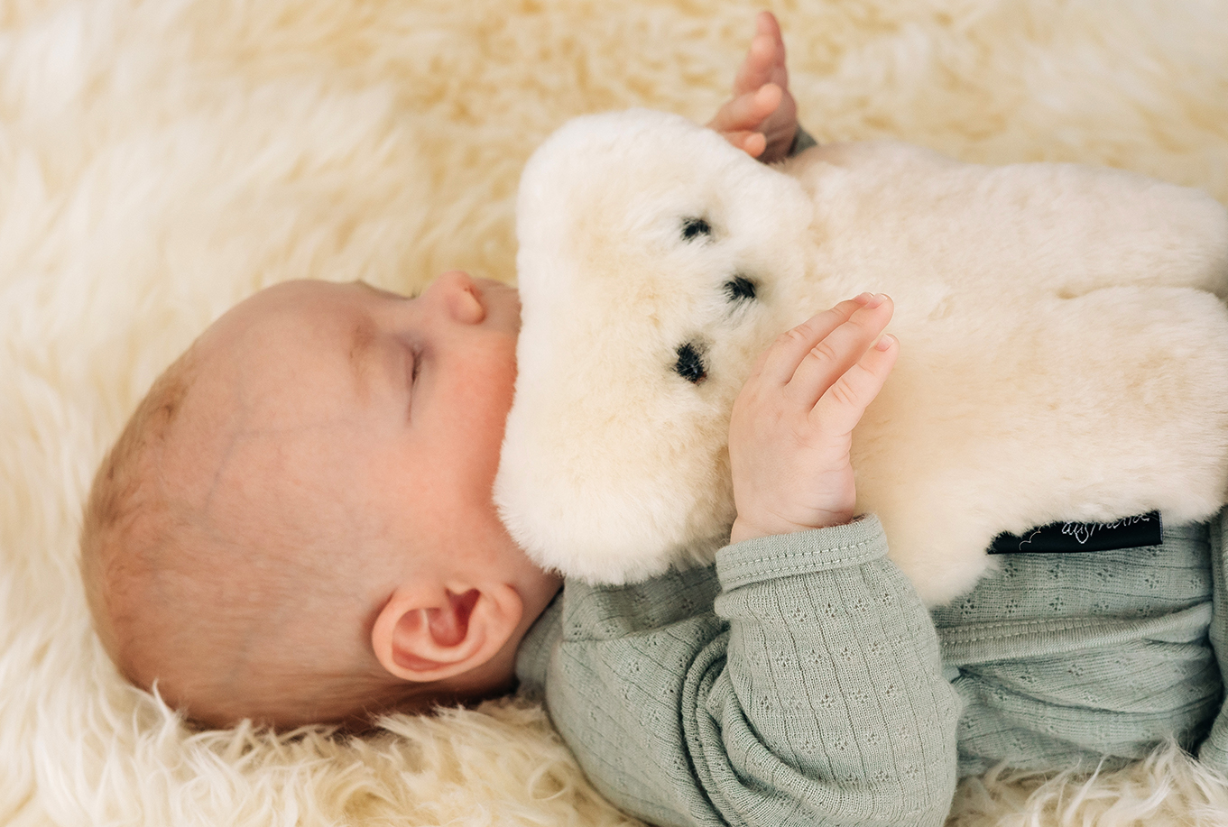 Benefits of a Teddy Bear - FLATOUTbear