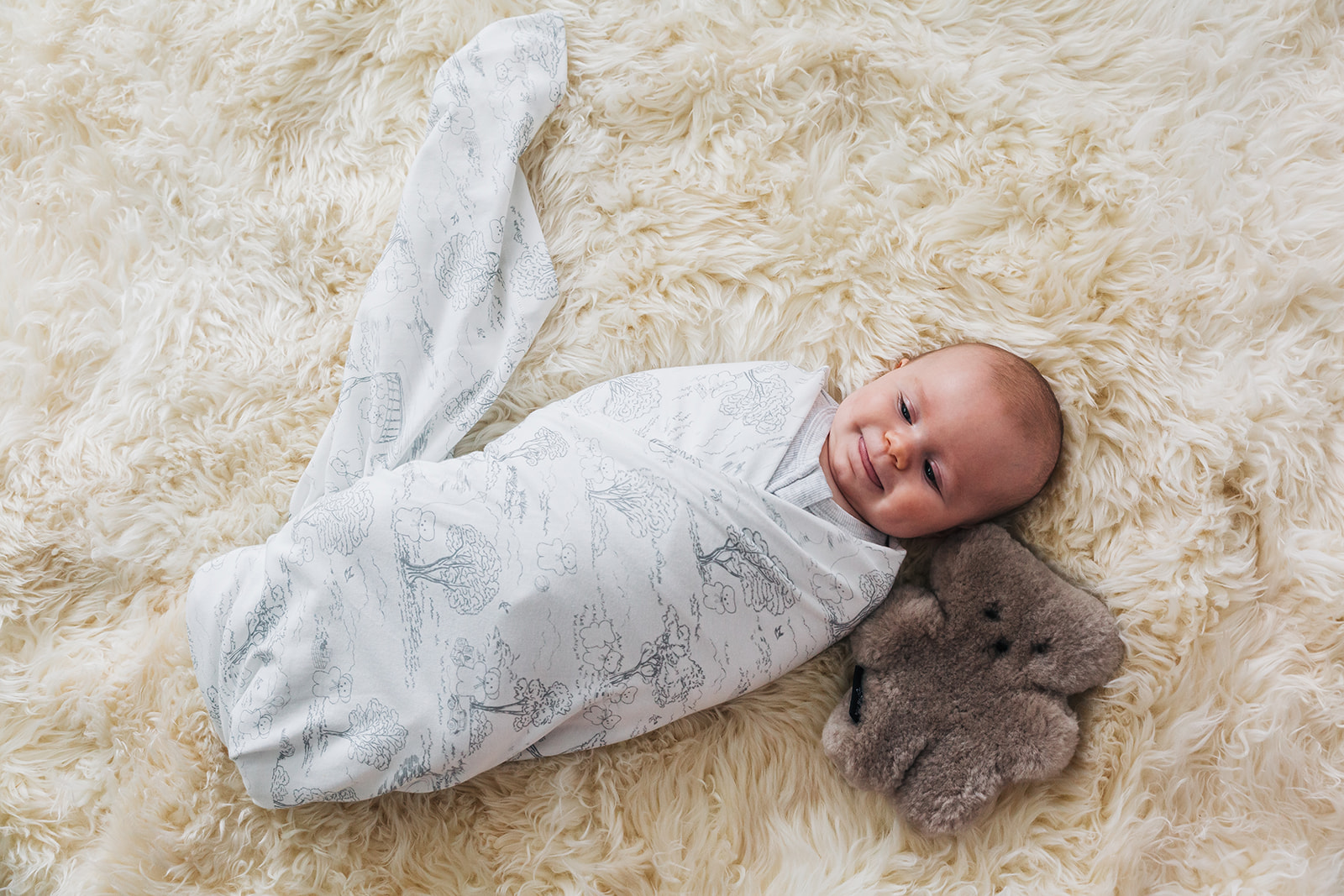 FLATOUTbear Wrap - Toile Grey - Image 3