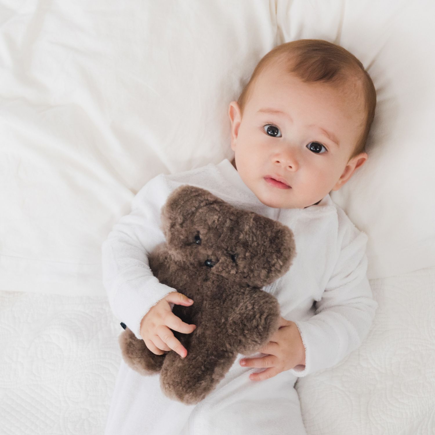 FLATOUTbear Baby Chocolate - Image 4