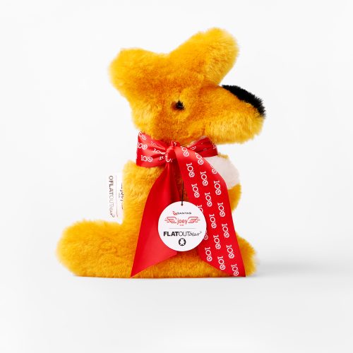 FLATOUTbear x Qantas Matilda Joey