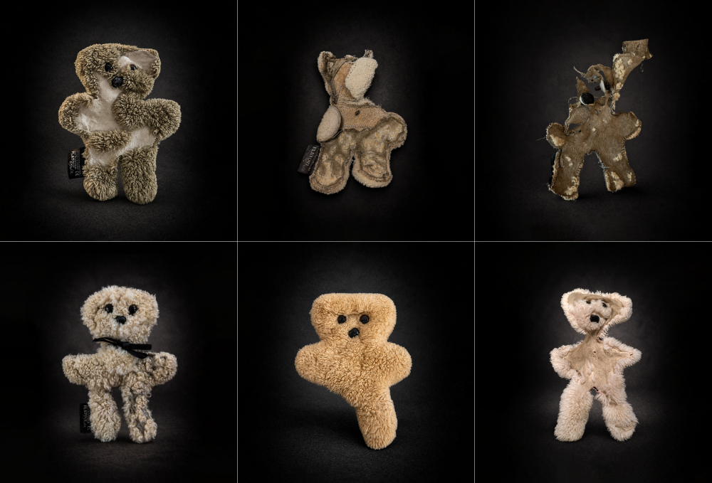 well-loved sheepskin flat teddy bear